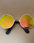 Pet Sunglasses