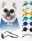 Pet Sunglasses