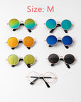 Pet Sunglasses