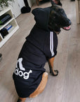 Pet Sweatshirt