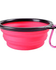 Collapsible Pet Bowl