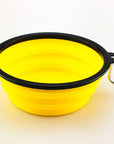 Collapsible Pet Bowl