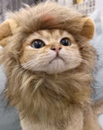 Lion Mane Cat Costume