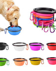 Collapsible Pet Bowl