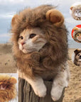 Lion Mane Cat Costume