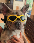 Dog Sunglasses