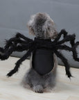 Spider Costume for Pets