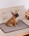 Pet Breathable Sofa Blanket