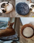 Round Dog Bed