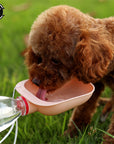 Outdoor Pet Water Bowl