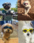 Dog Sunglasses