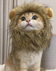 Lion Mane Cat Costume