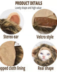 Lion Mane Cat Costume