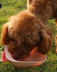 Outdoor Pet Water Bowl