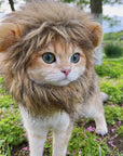 Lion Mane Cat Costume